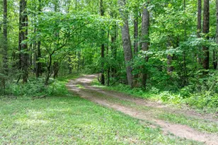 3494 Vannoy Ridge Rd, Moravian Falls, NC 28654 - Photo 22