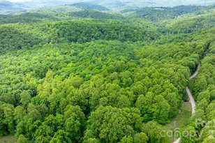 3494 Vannoy Ridge Rd, Moravian Falls, NC 28654 - Photo 36