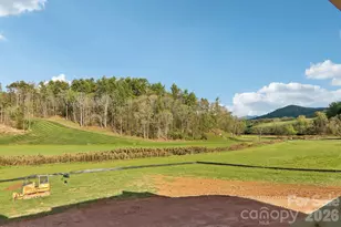 1060 California Creek Rd, Mars Hill, NC 28754 - Photo 20