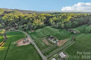 1060 California Creek Rd, Mars Hill, NC 28754 - Photo 10