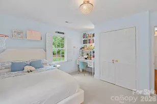 251 Ney Cir, Davidson, NC 28036 - Photo 22