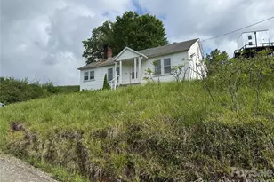 176 Laurel Branch Cemetery Rd, Weaverville, NC 28753 - Photo 18