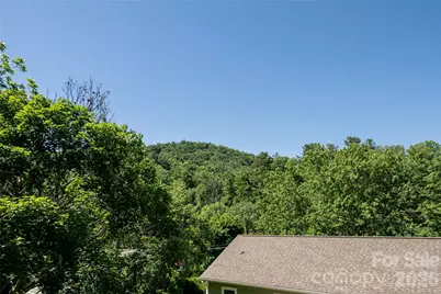 19 Sycamore Street, Asheville, NC 28804 - Photo 30