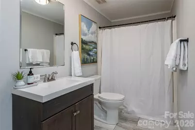 19 Sycamore Street, Asheville, NC 28804 - Photo 24