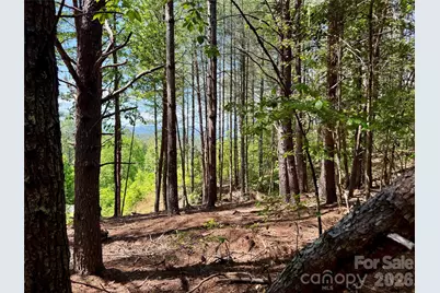 Lot 104 Johns Ridge Parkway #104, Lenoir, NC 28645 - Photo 8