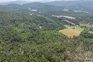 1305 Halltown Rd, Spruce Pine, NC 28777 - Photo 8