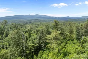 1305 Halltown Rd, Spruce Pine, NC 28777 - Photo 10