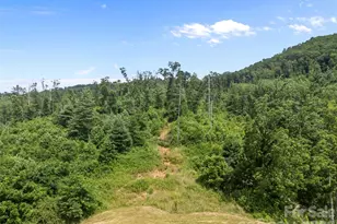 1305 Halltown Rd, Spruce Pine, NC 28777 - Photo 18