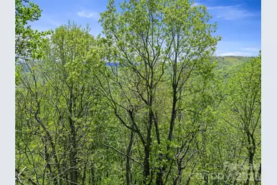 Tbd Holly Dale Drive, Spruce Pine, NC 28777 - Photo 14