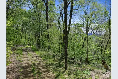 Tbd Holly Dale Drive, Spruce Pine, NC 28777 - Photo 8