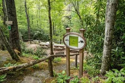 149 Hiwassee Road, Lake Toxaway, NC 28747 - Photo 48