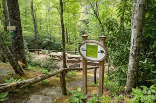 149 Hiwassee Rd, Lake Toxaway, NC 28747 - Photo 48