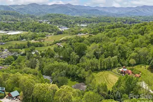 224 Hydrangea Dr, Waynesville, NC 28785 - Photo 38