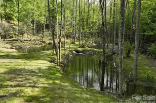 183 Mayfly Ct, Spruce Pine, NC 28777 - Photo 40
