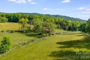 435 Upper Glady Fork Rd, Candler, NC 28714 - Photo 36