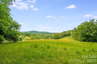 435 Upper Glady Fork Road, Candler, NC 28714 - Photo 6