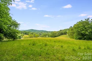 435 Upper Glady Fork Rd, Candler, NC 28714 - Photo 6