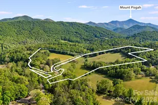 435 Upper Glady Fork Rd, Candler, NC 28714 - Photo 46