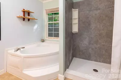 159 Marcellina Drive, Fairview, NC 28730 - Photo 14