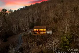 36 Wineberry Ln, Asheville, NC 28803 - Photo 48