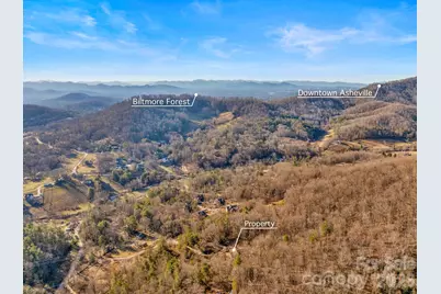 36 Wineberry Lane, Asheville, NC 28803 - Photo 46