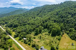 329 N Fork Rd, Barnardsville, NC 28709 - Photo 30