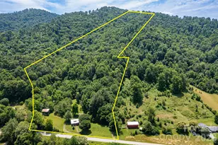 329 N Fork Rd, Barnardsville, NC 28709 - Photo 4