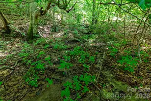 329 N Fork Rd, Barnardsville, NC 28709 - Photo 20