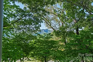 33 Vance Ave, Black Mountain, NC 28711 - Photo 10