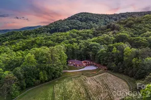 959 & 957 Dave Whitaker Rd, Horse Shoe, NC 28742 - Photo 28