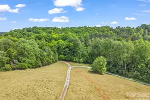 432 Gilmer Edwards Rd, Rutherfordton, NC 28139 - Photo 46
