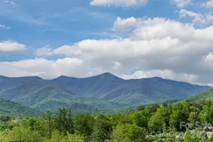 25 Rantis Ln, Black Mountain, NC 28711 - Photo 6
