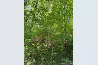 50 E Wabash Drive, Sylva, NC 28779 - Photo 12