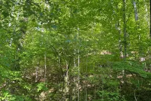 50 E Wabash Dr, Sylva, NC 28779 - Photo 12