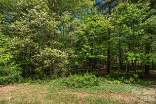 305 & 349 Freedom Trail Ct, Zirconia, NC 28790 - Photo 34