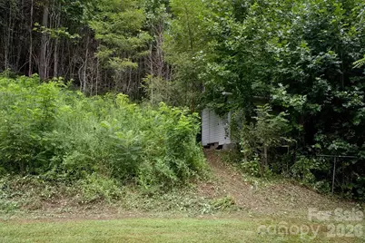 165 Peepeye Cove Road, Leicester, NC 28748 - Photo 22
