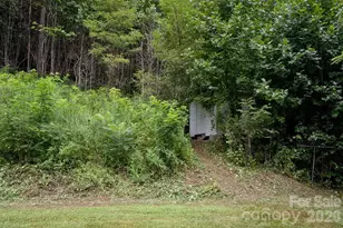 165 Peepeye Cove Rd, Leicester, NC 28748 - Photo 22