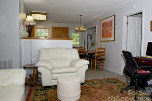 165 Peepeye Cove Rd, Leicester, NC 28748 - Photo 8
