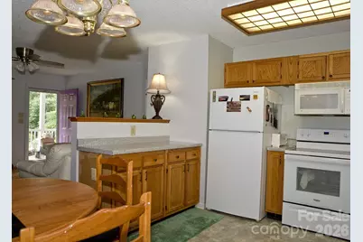 165 Peepeye Cove Road, Leicester, NC 28748 - Photo 12