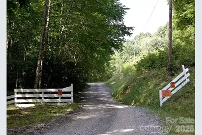 165 Peepeye Cove Road, Leicester, NC 28748 - Photo 24