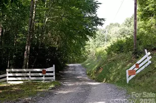 165 Peepeye Cove Rd, Leicester, NC 28748 - Photo 24