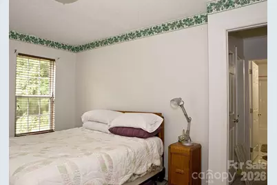 165 Peepeye Cove Road, Leicester, NC 28748 - Photo 20