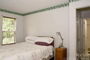 165 Peepeye Cove Rd, Leicester, NC 28748 - Photo 20
