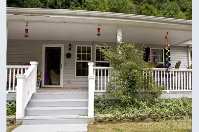 165 Peepeye Cove Road, Leicester, NC 28748 - Photo 2