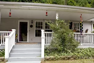 165 Peepeye Cove Rd, Leicester, NC 28748 - Photo 2