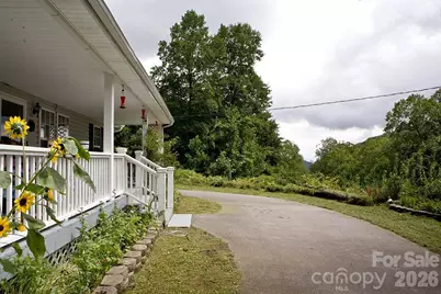165 Peepeye Cove Road, Leicester, NC 28748 - Photo 4