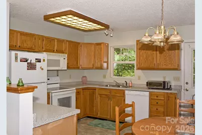 165 Peepeye Cove Road, Leicester, NC 28748 - Photo 10
