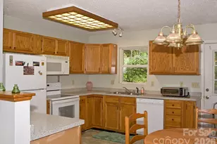165 Peepeye Cove Rd, Leicester, NC 28748 - Photo 10