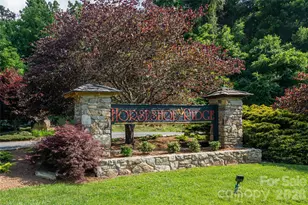 33 Bridle Path Dr, Barnardsville, NC 28709 - Photo 48