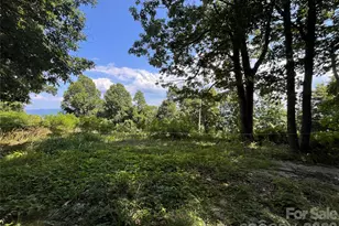 200 Osborn Knob Rd, Marion, NC 28752 - Photo 20